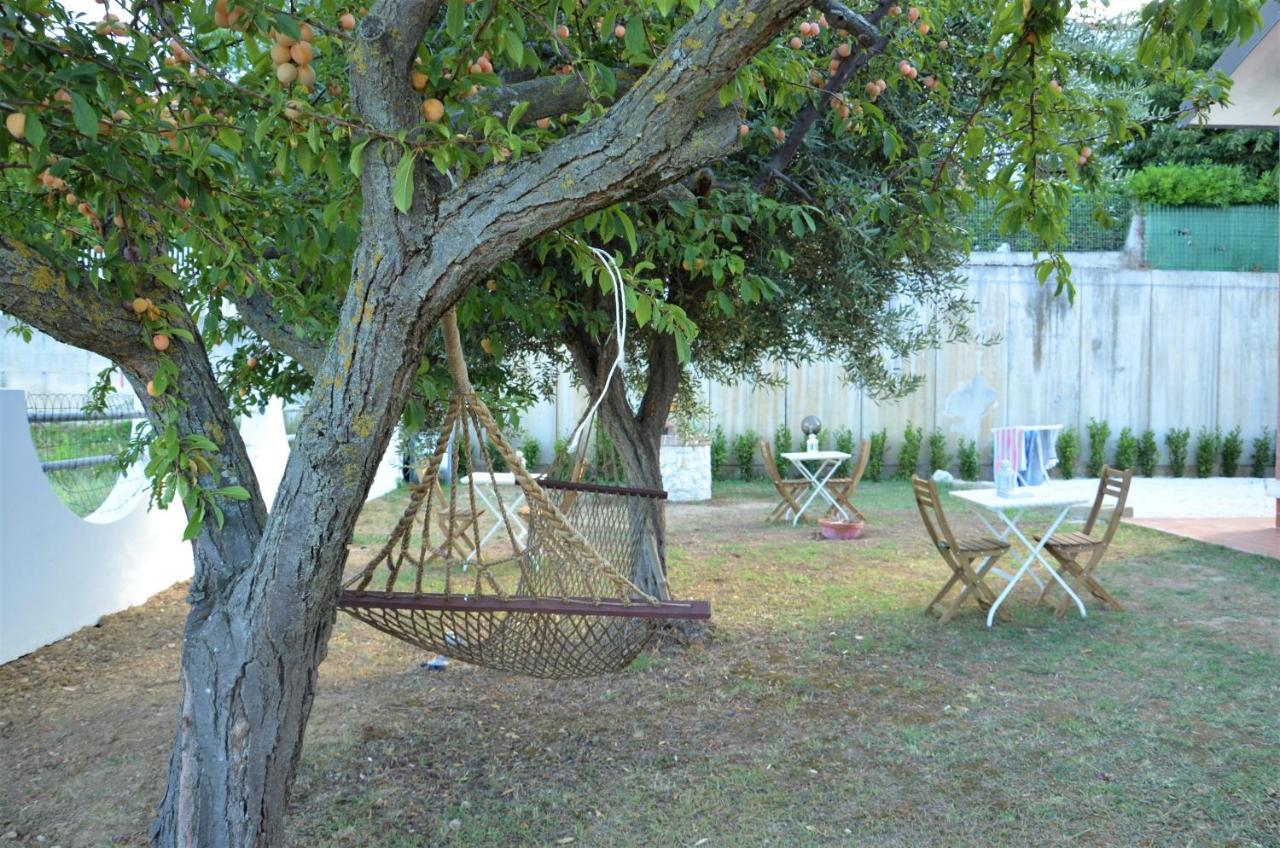 Bed and Breakfast La Cicala Del Conero Marcelli Exterior foto